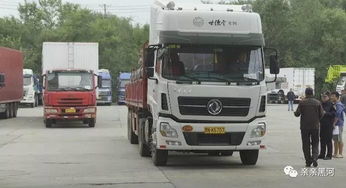 黑河貨運口岸輪渡恢復通航，助力跨境貨物運輸暢通